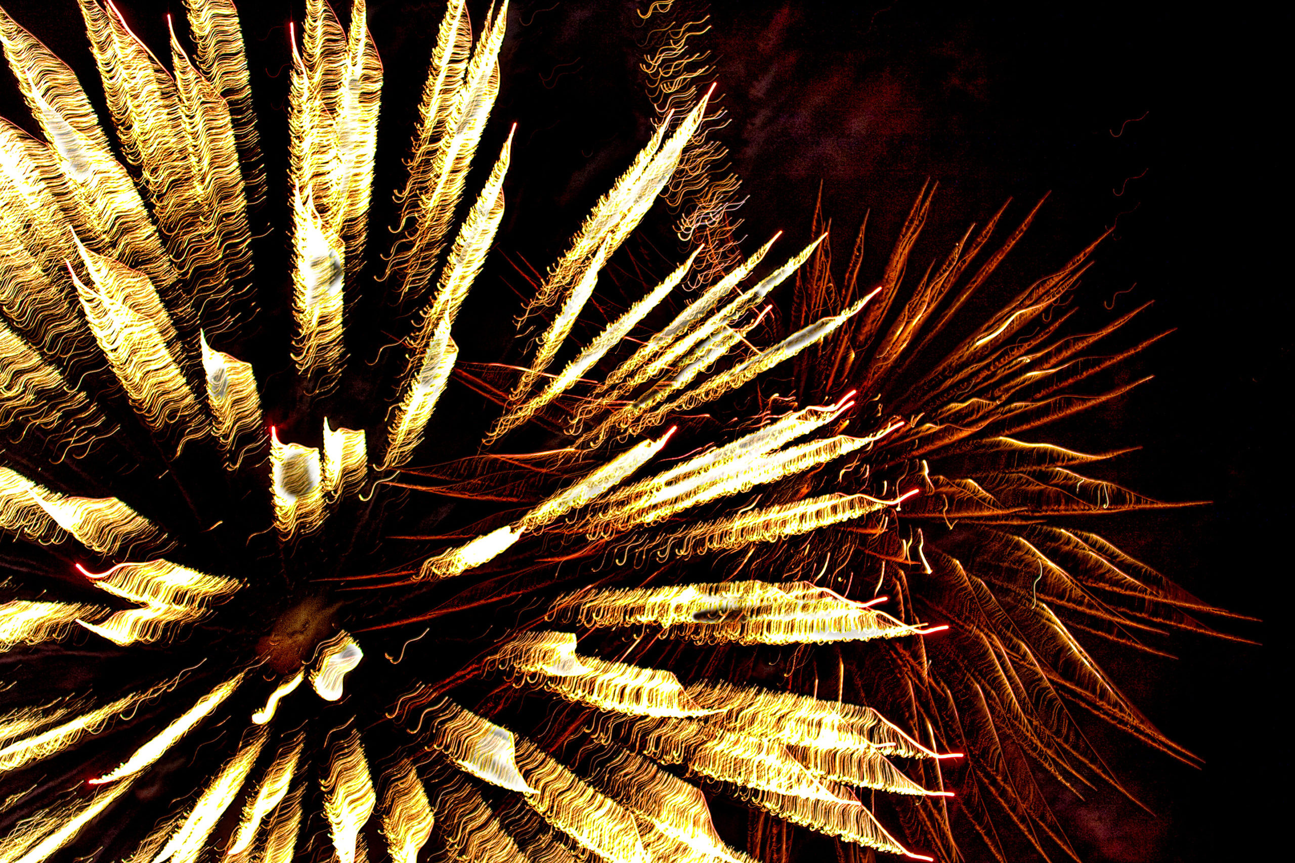 Red and Gold fireworks bursts on black sky