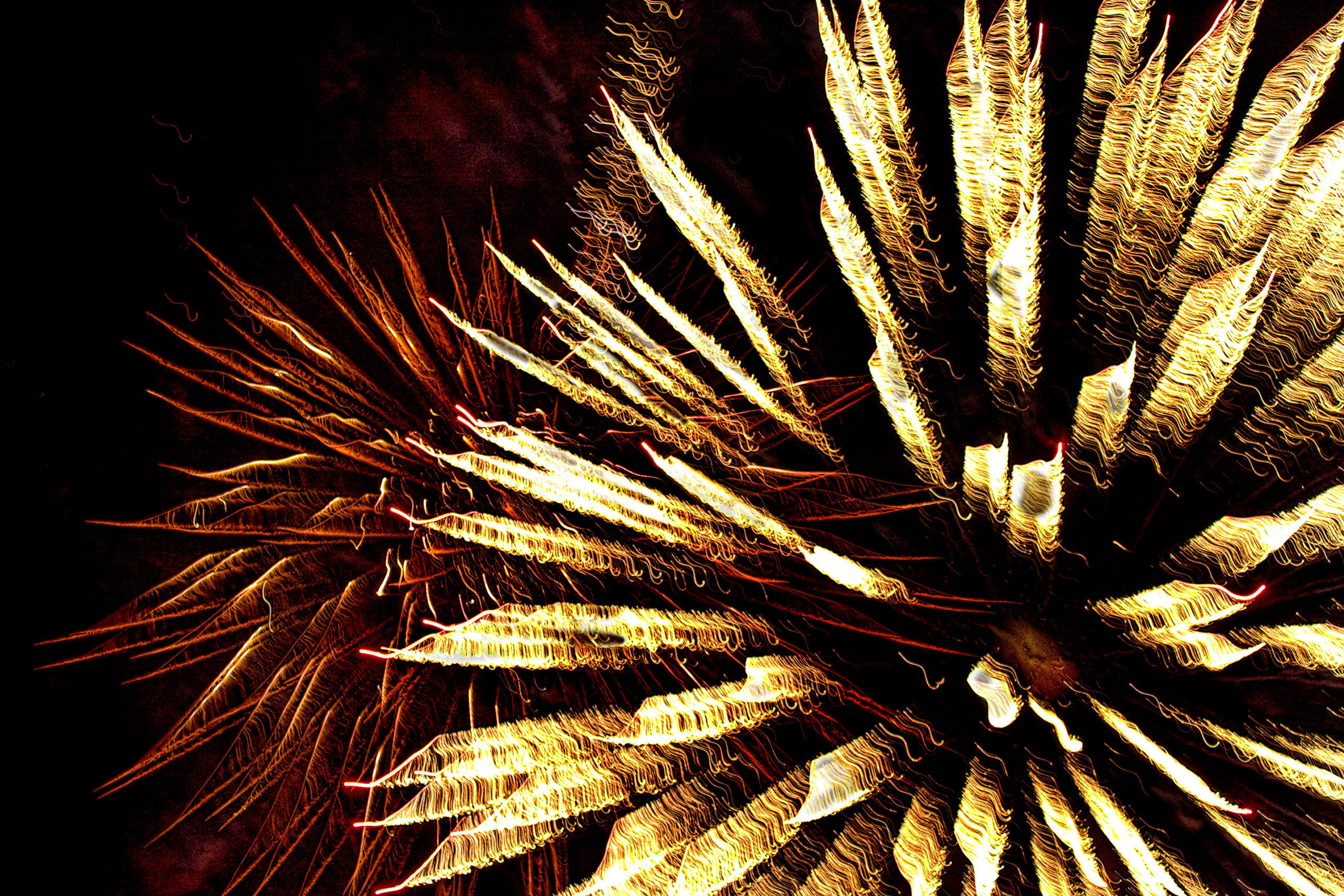 Red and Gold fireworks bursts on black sky