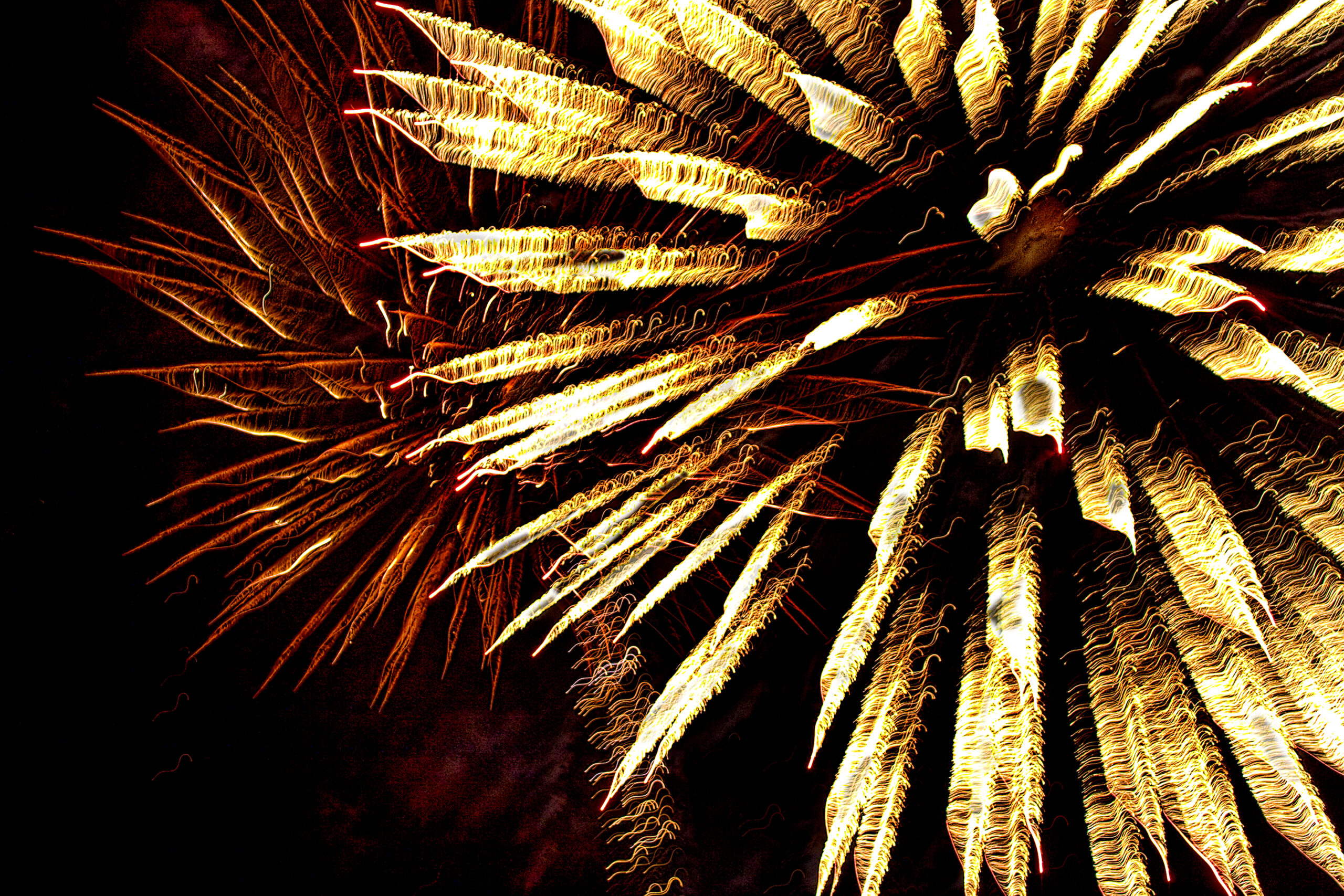 Red and Gold fireworks bursts on black sky