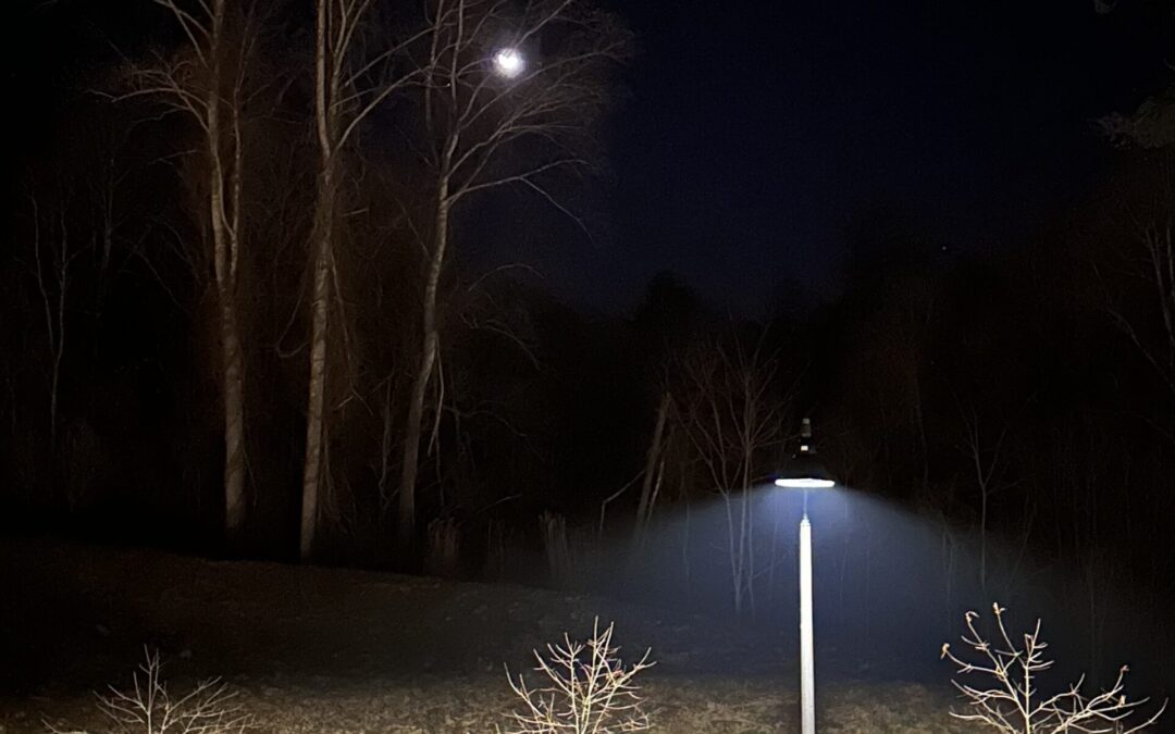 Have You Set Your Word for 2026?