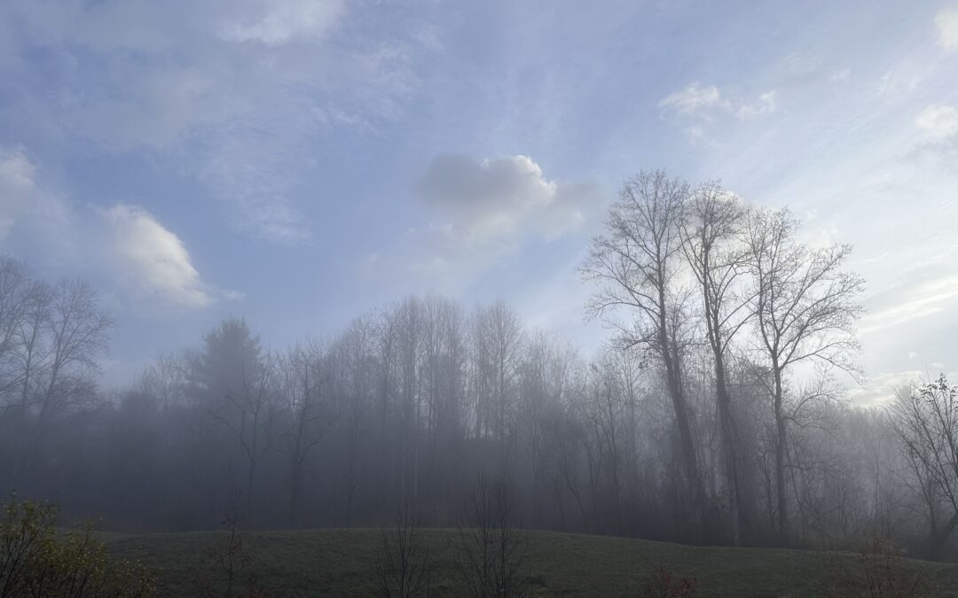 This is a safe space.