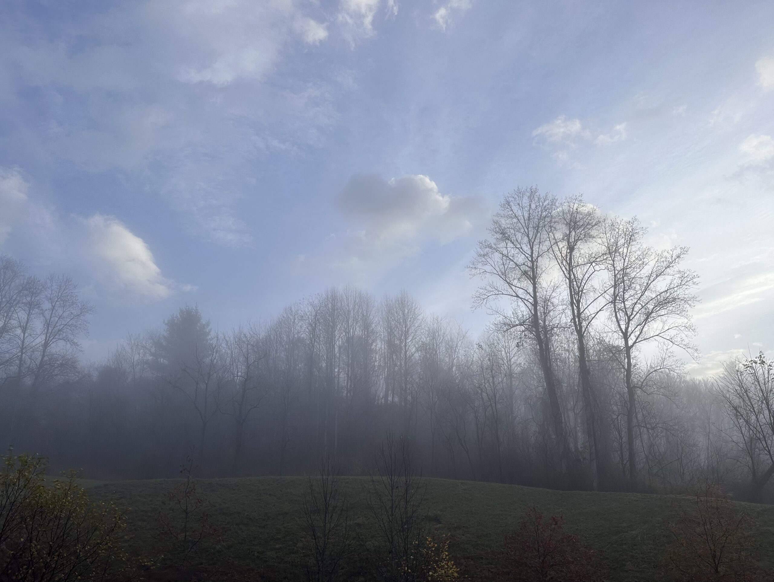 IMG_7783 Backlit sky, puffy clouds, ethereal haze over expanse of trees on hill.