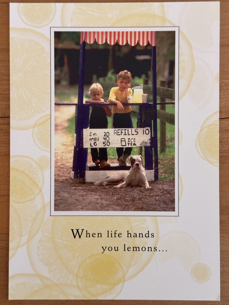 greeting card with 2 boys and dog at lemonade stand looking forlorn with no business